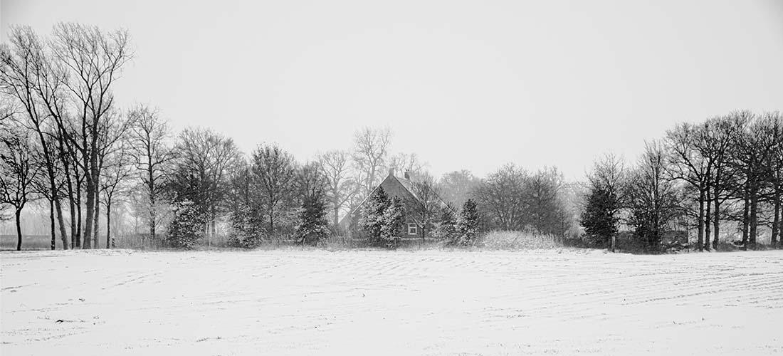 Huis met bomenrij in de sneeuw